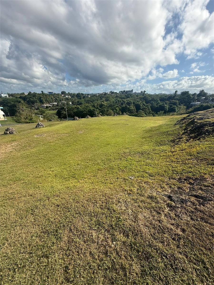 Colinas De Palmarito Property Photo 1