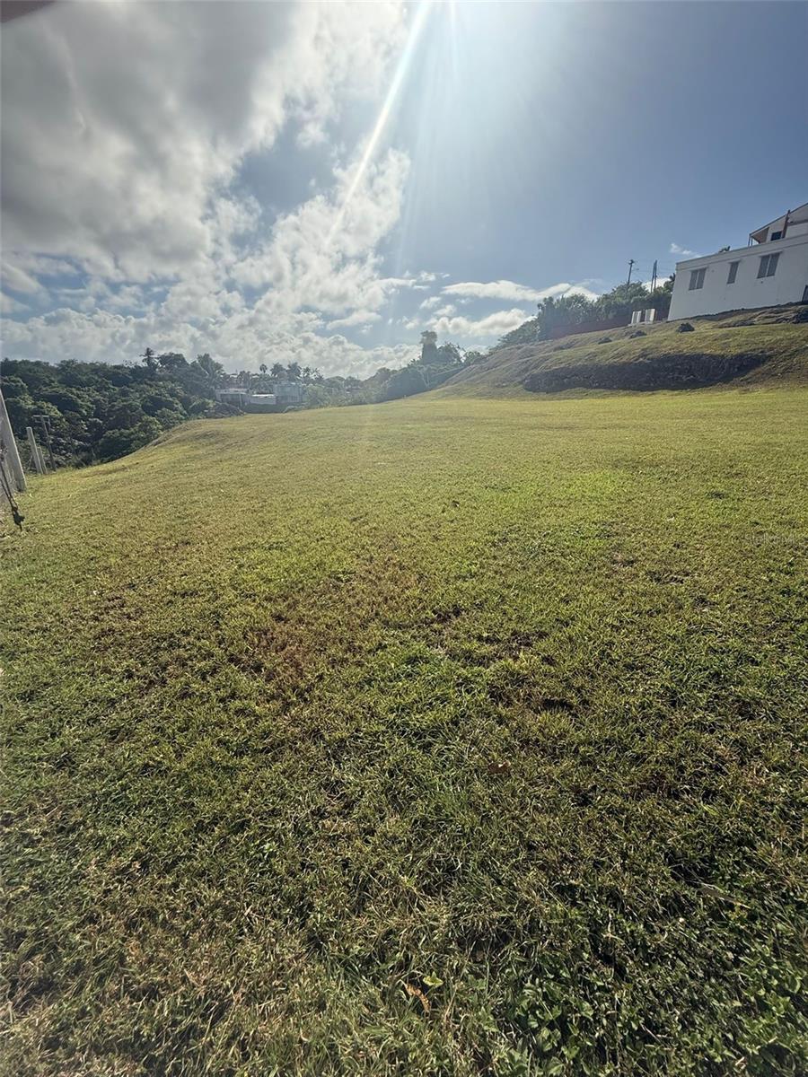 Colinas De Palmarito Property Photo 4