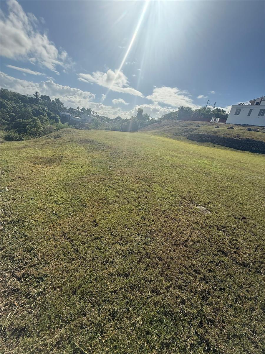 Colinas De Palmarito Property Photo 5