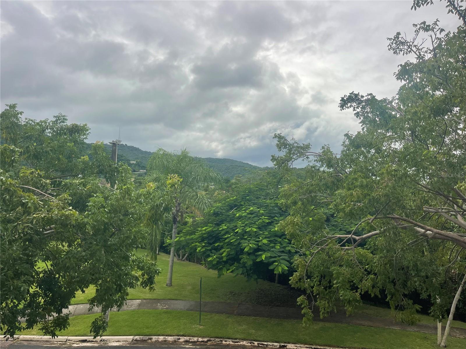 Cond.180 Carretera 194 Pr 180- Carr. Estatal No. 194 Ests #q-206 Property Photo 21