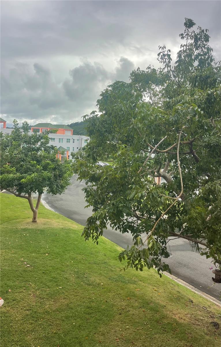 Cond.180 Carretera 194 Pr 180- Carr. Estatal No. 194 Ests #q-206 Property Photo 25