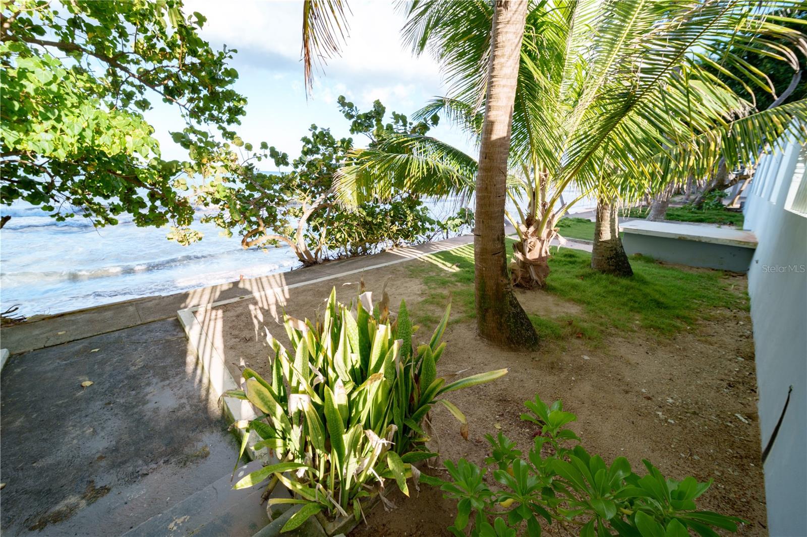 3409 Isla Verde Ave #701 Property Photo 14