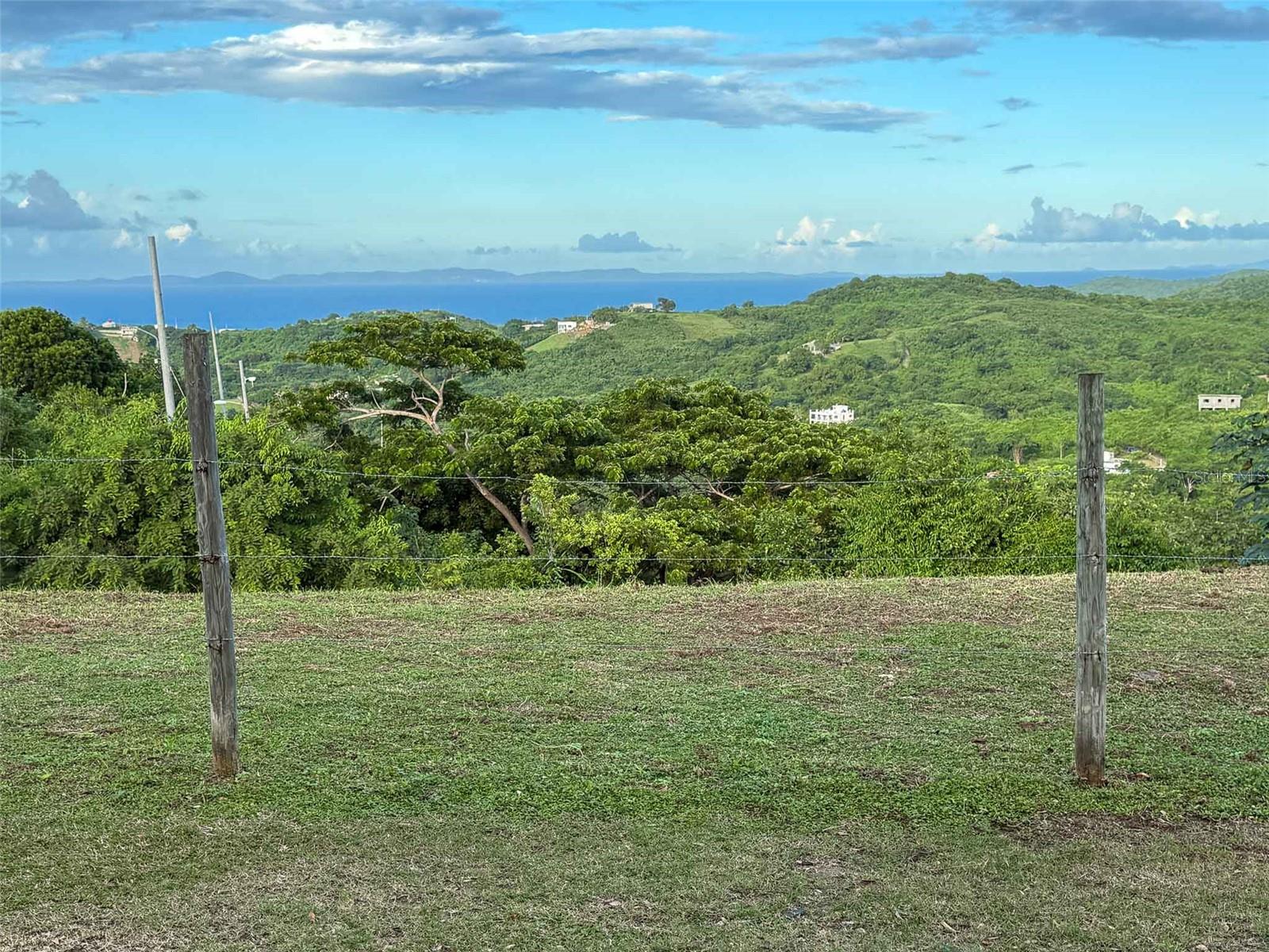 31 SAMUEL FELIX Property Photo 1