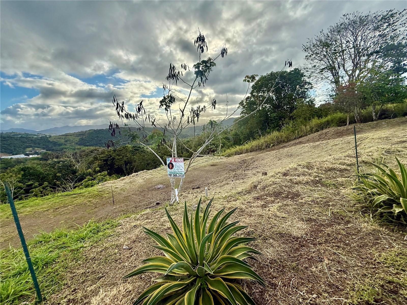 Sector Campo Bello Property Photo 1