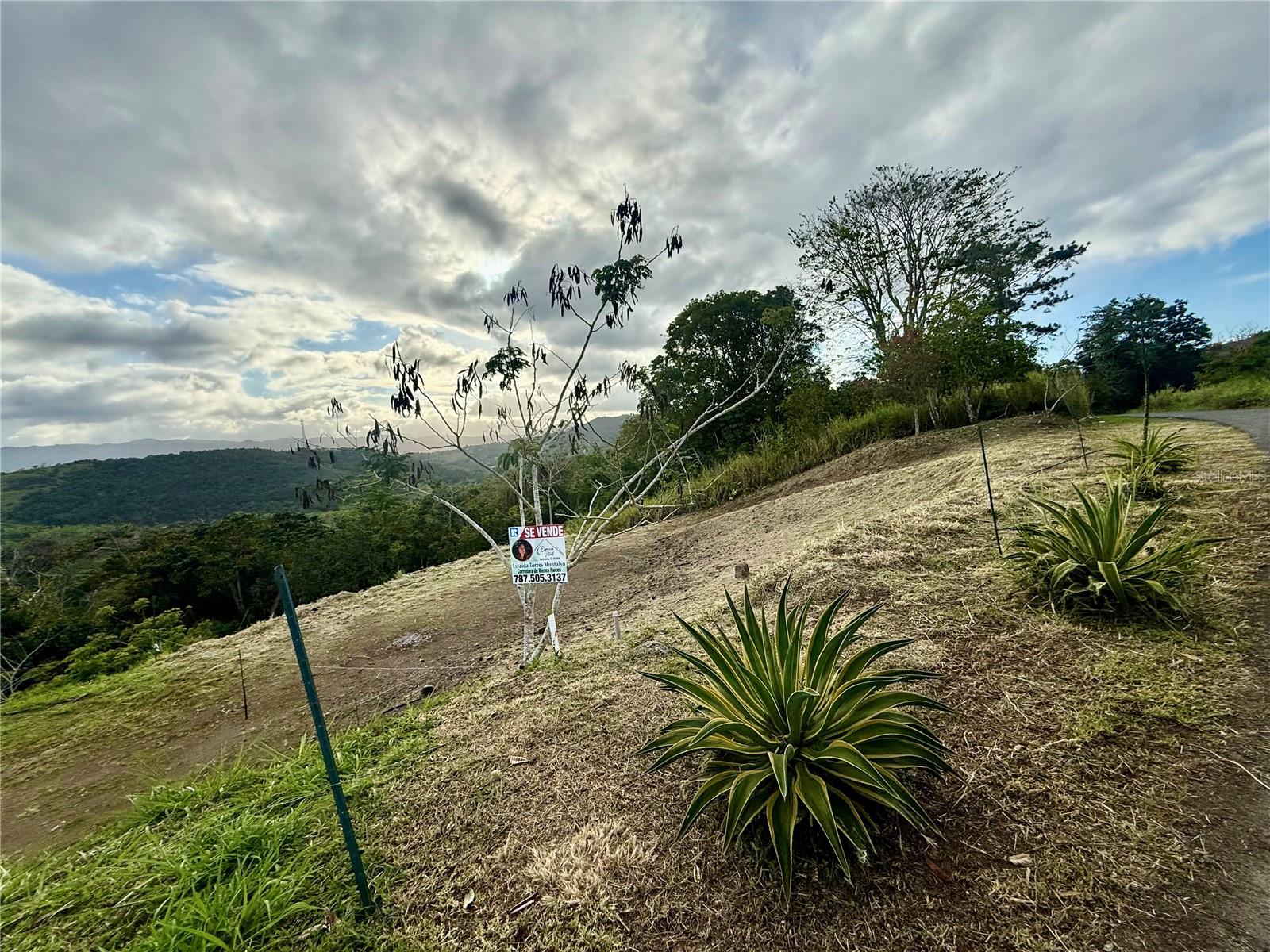 Sector Campo Bello Property Photo 2