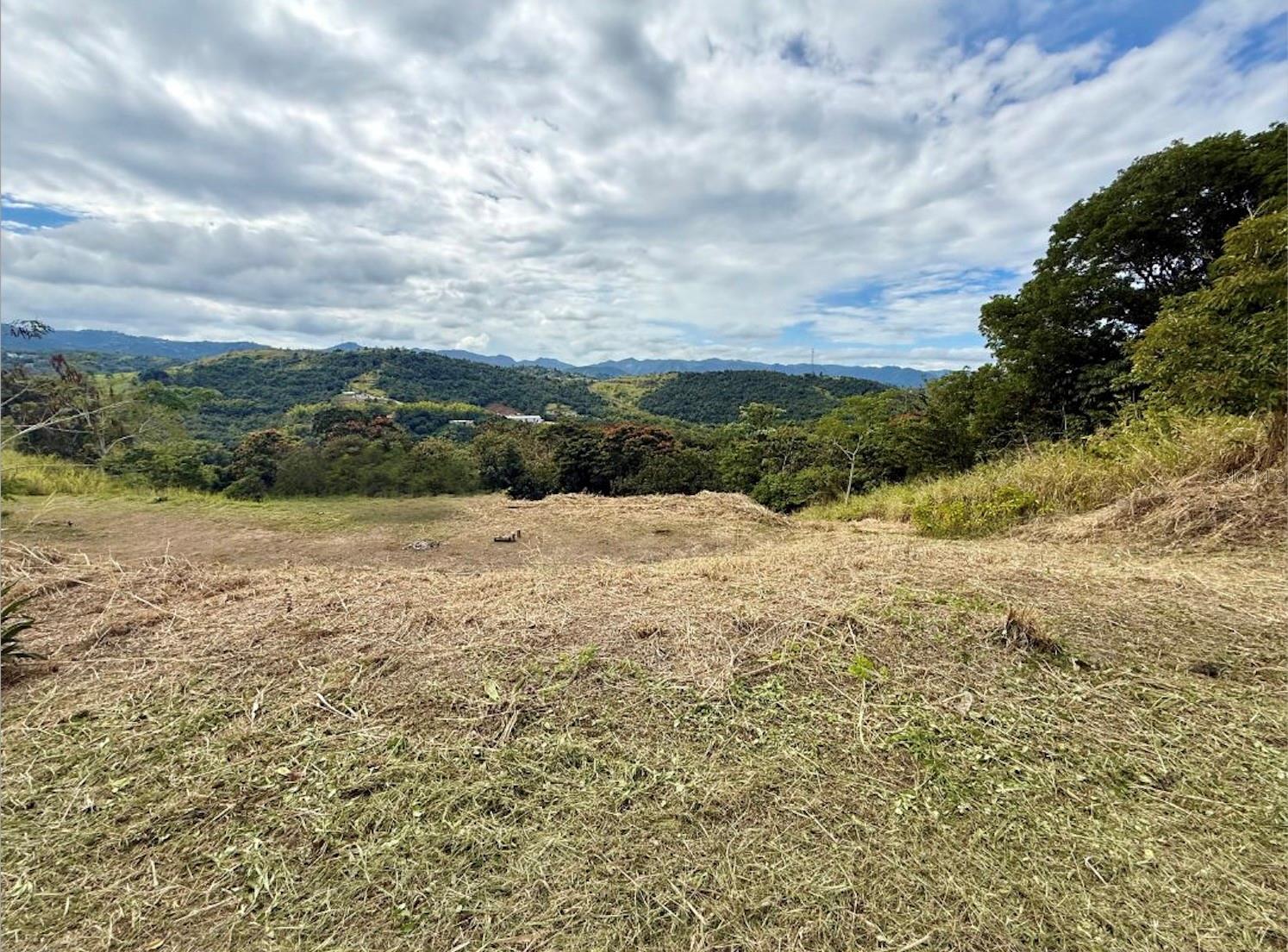 Sector Campo Bello Property Photo 3