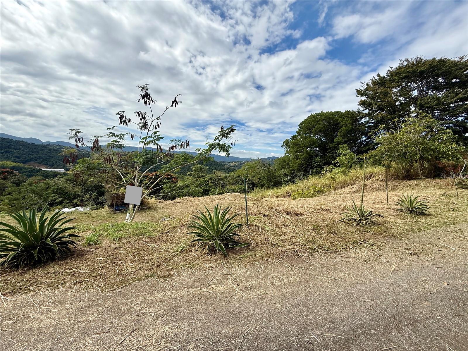 Sector Campo Bello Property Photo 4