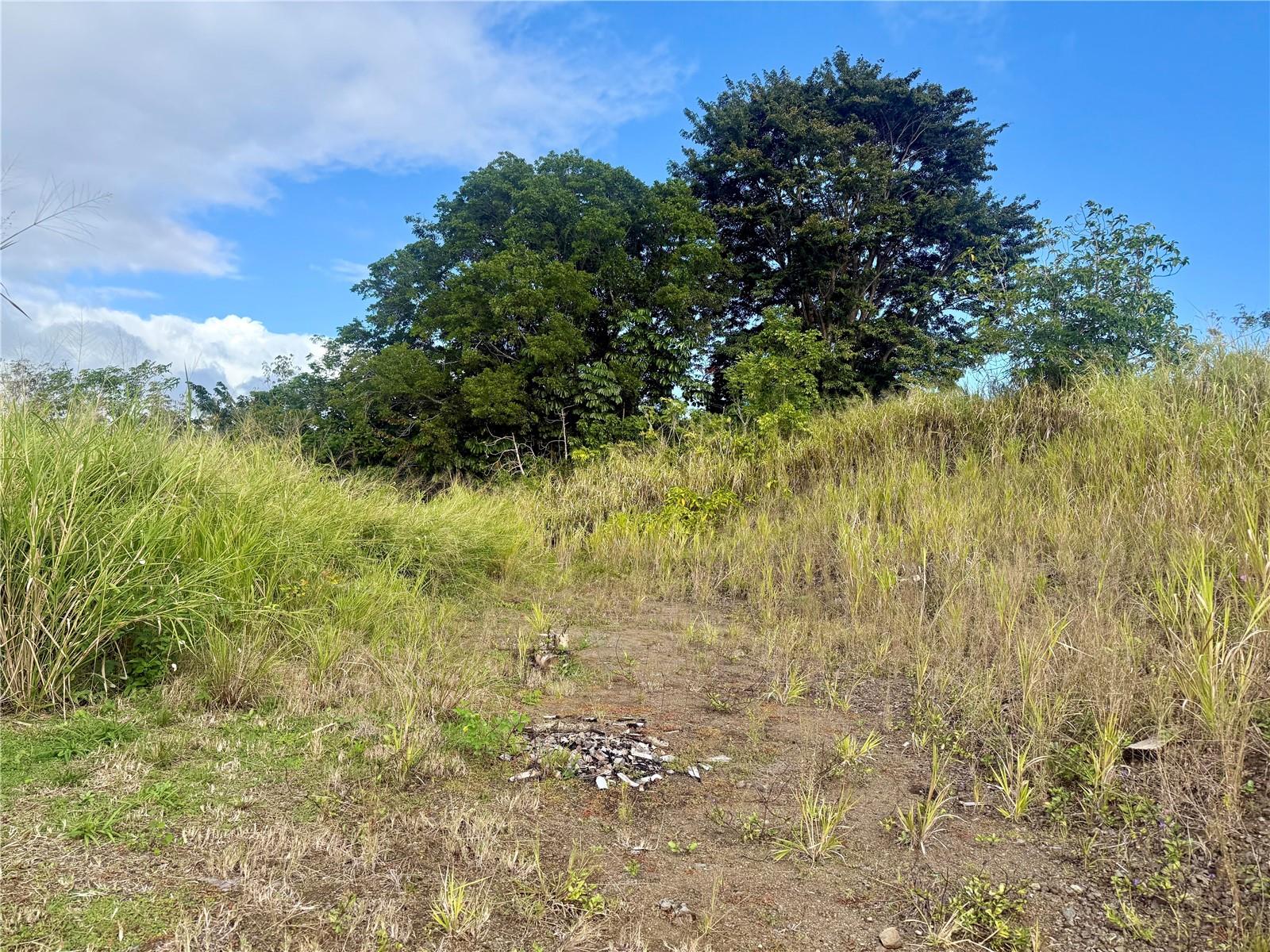 Sector Campo Bello Property Photo 5