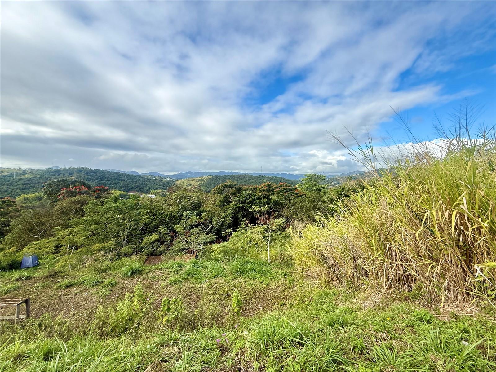 Sector Campo Bello Property Photo 7