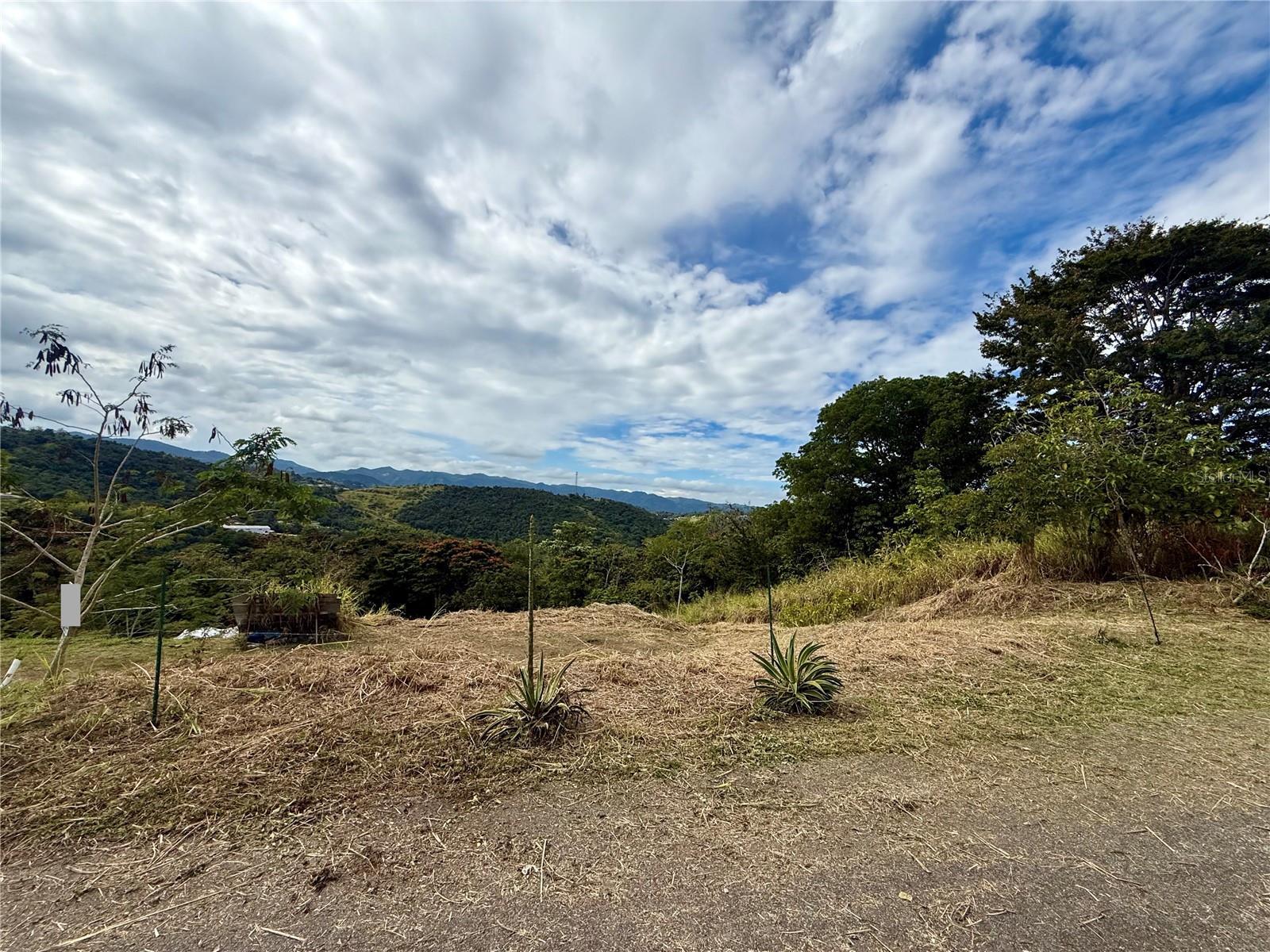 Sector Campo Bello Property Photo 8