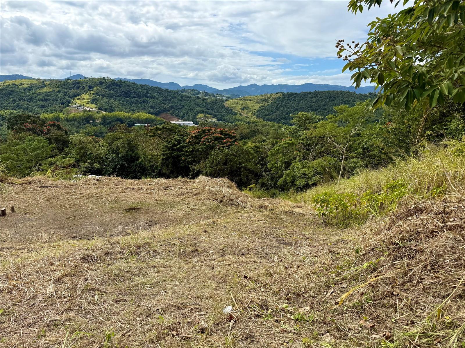 Sector Campo Bello Property Photo 9