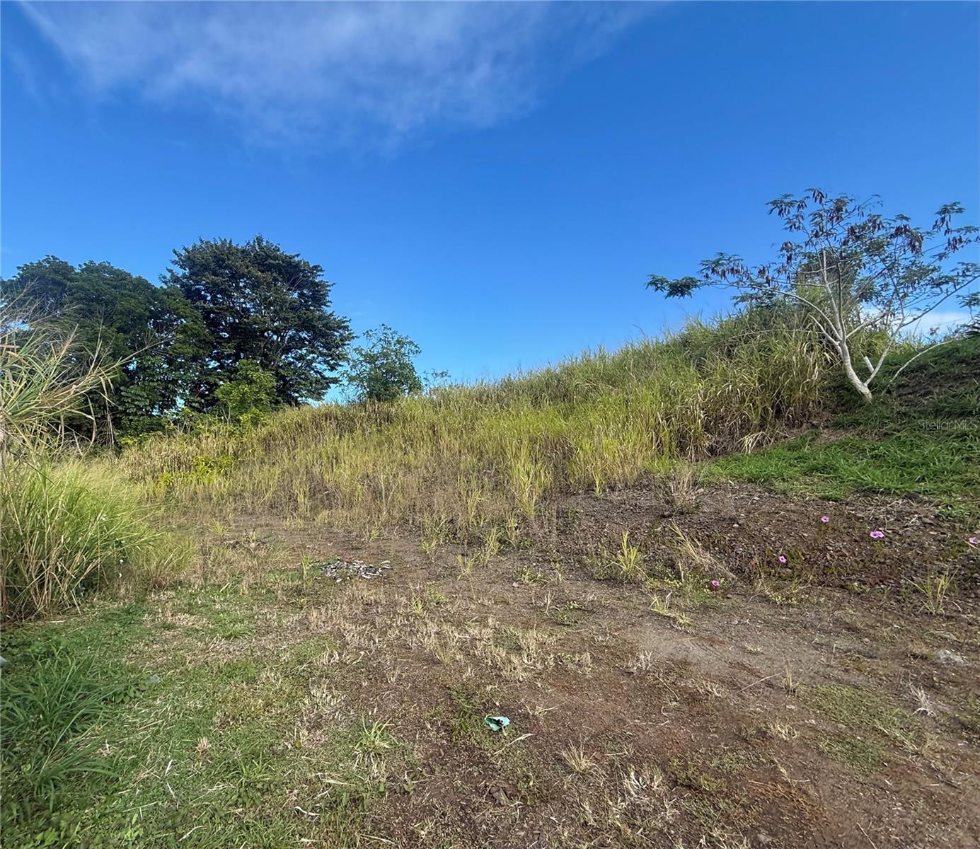 Sector Campo Bello Property Photo 11