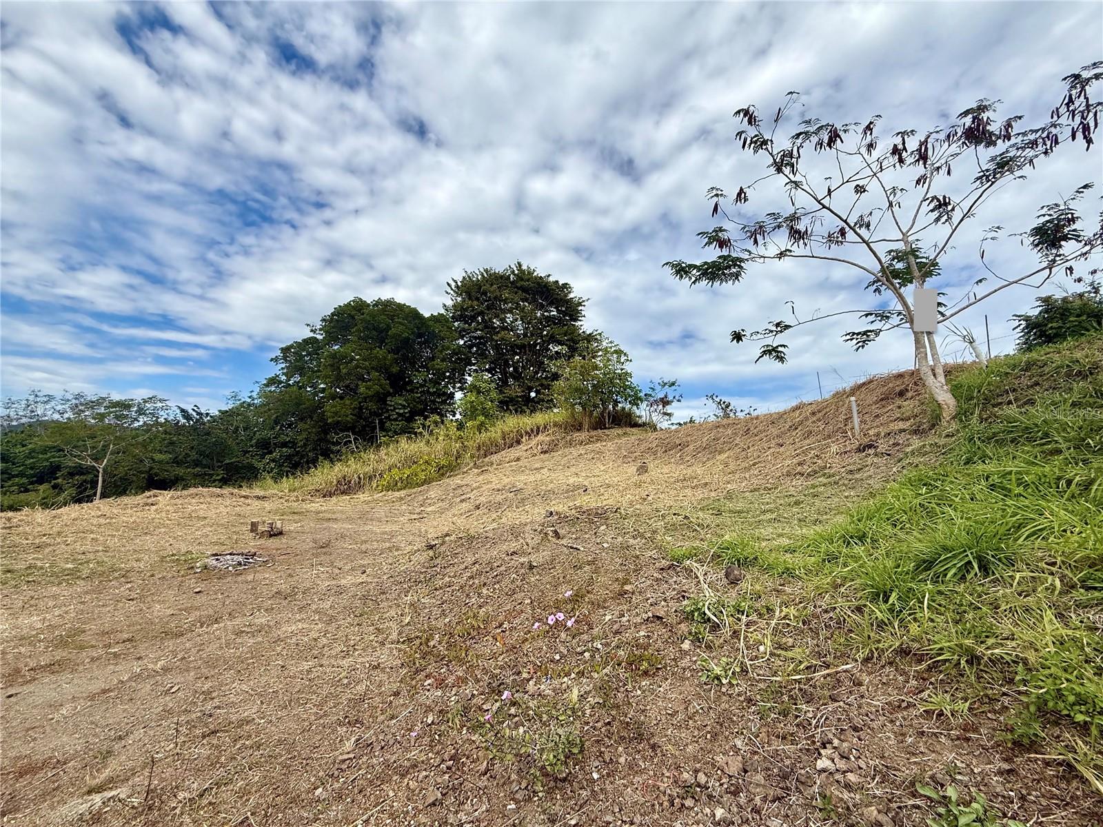Sector Campo Bello Property Photo 12