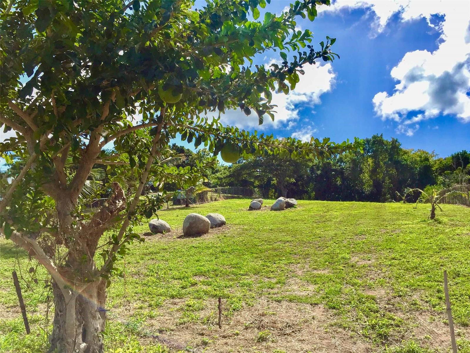 63 Route 201 Property Photo 5