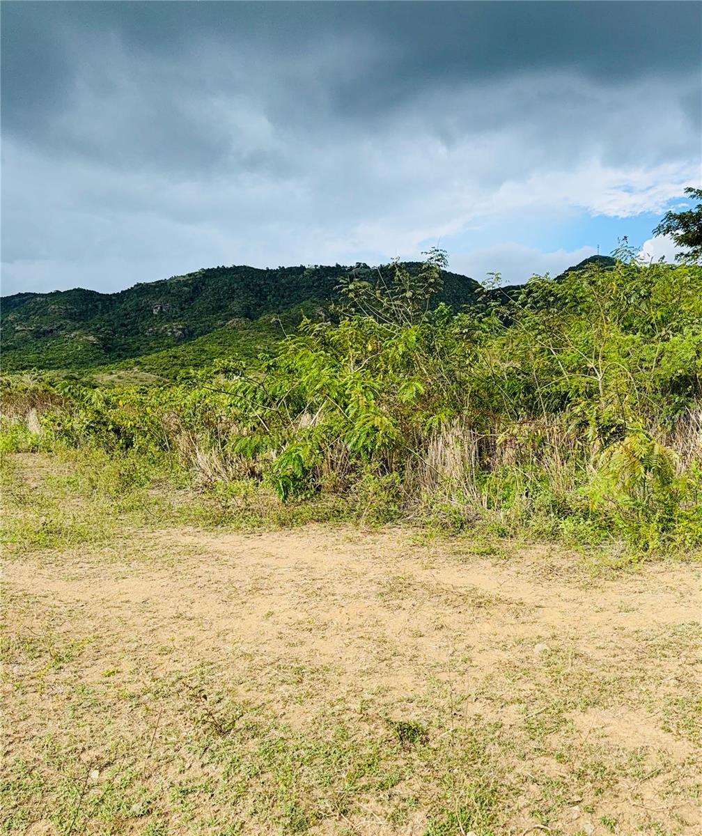 14 Route #km 41.0 Property Photo 7