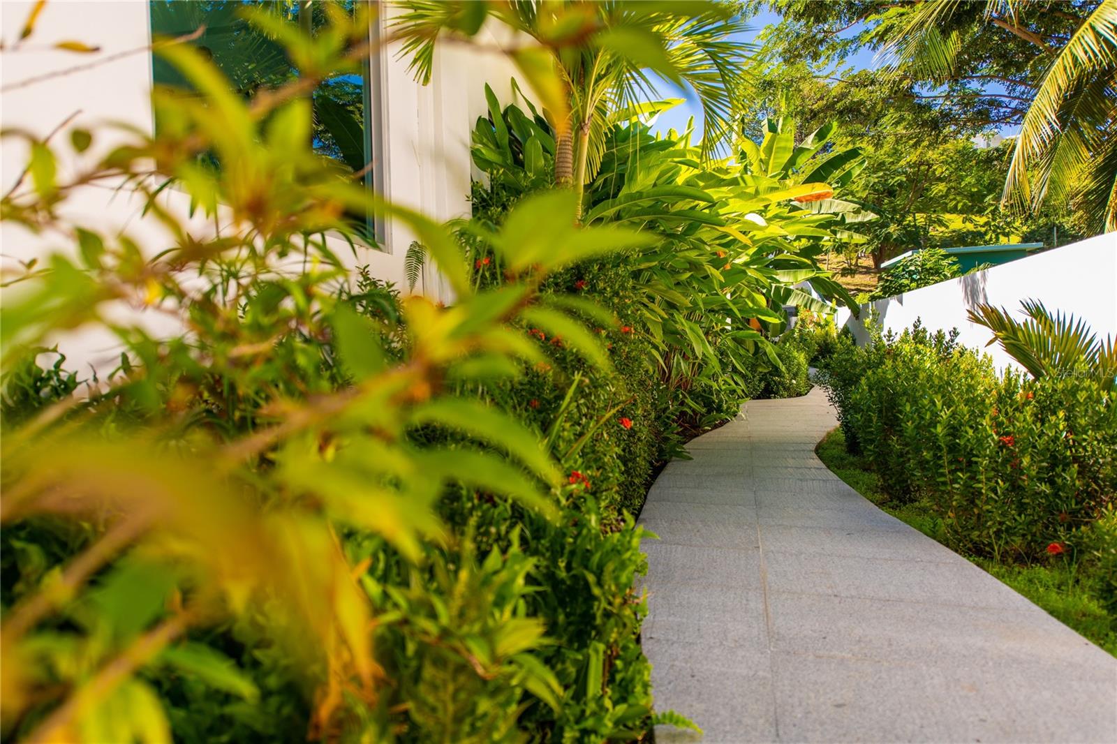 300 Palm Cottages Property Photo 8