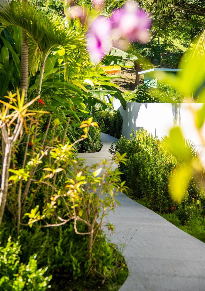 300 Palm Cottages Property Photo 19