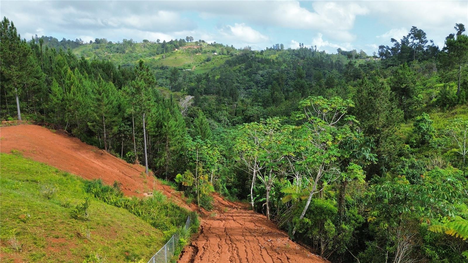 Bo. Maná Carr. 802 Km 2.5 Property Photo 1