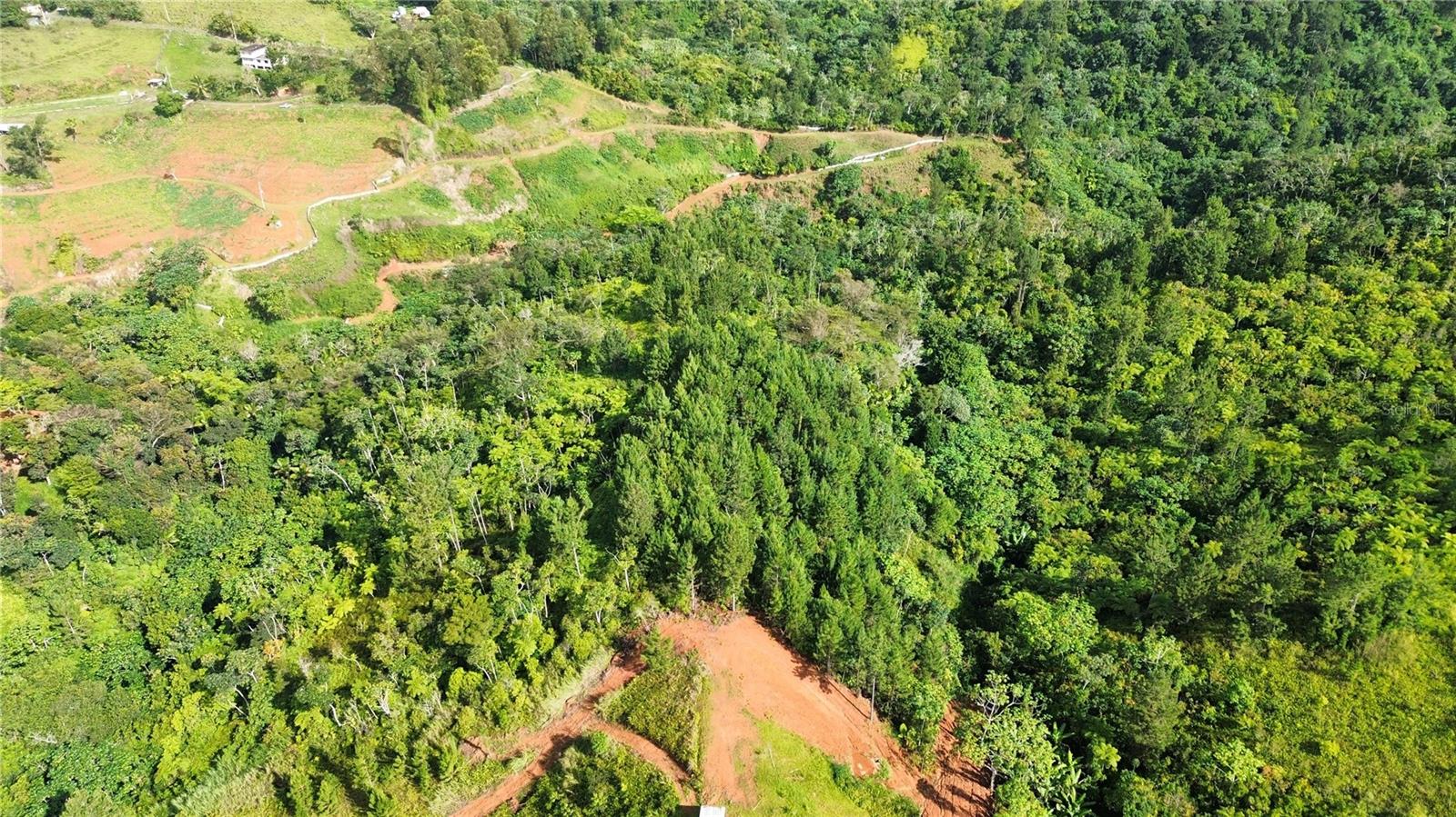 Bo. Maná Carr. 802 Km 2.5 Property Photo 2