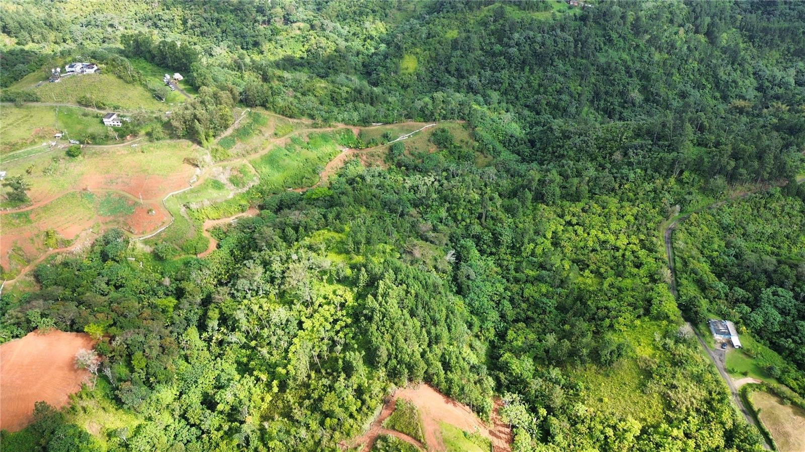 Bo. Maná Carr. 802 Km 2.5 Property Photo 4