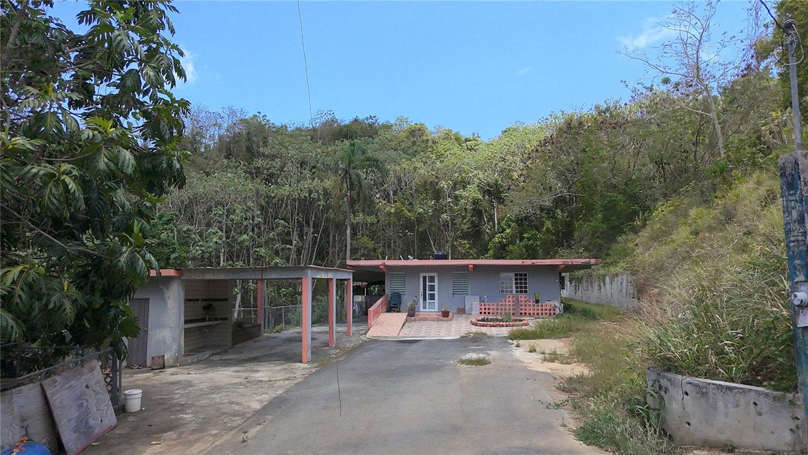 Carr 925 Km 4.9 Bo. Junquito Property Photo 4