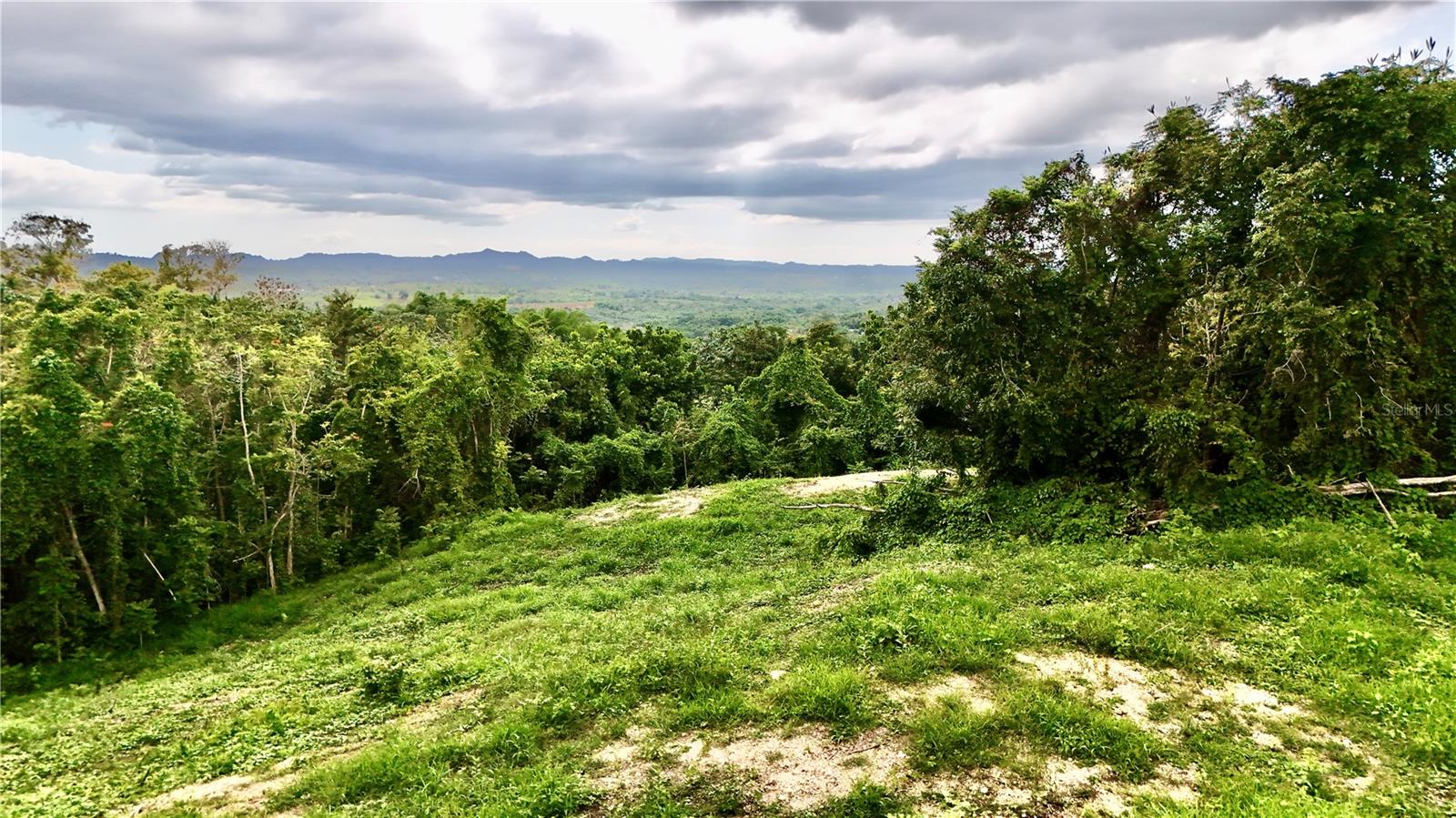 Bo. Cidral Pr-450 Property Photo 1