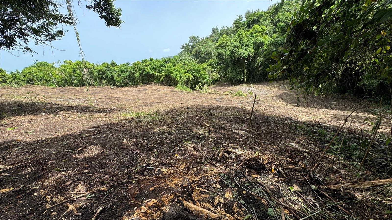 Bo. Cidral Pr-450 Property Photo 2