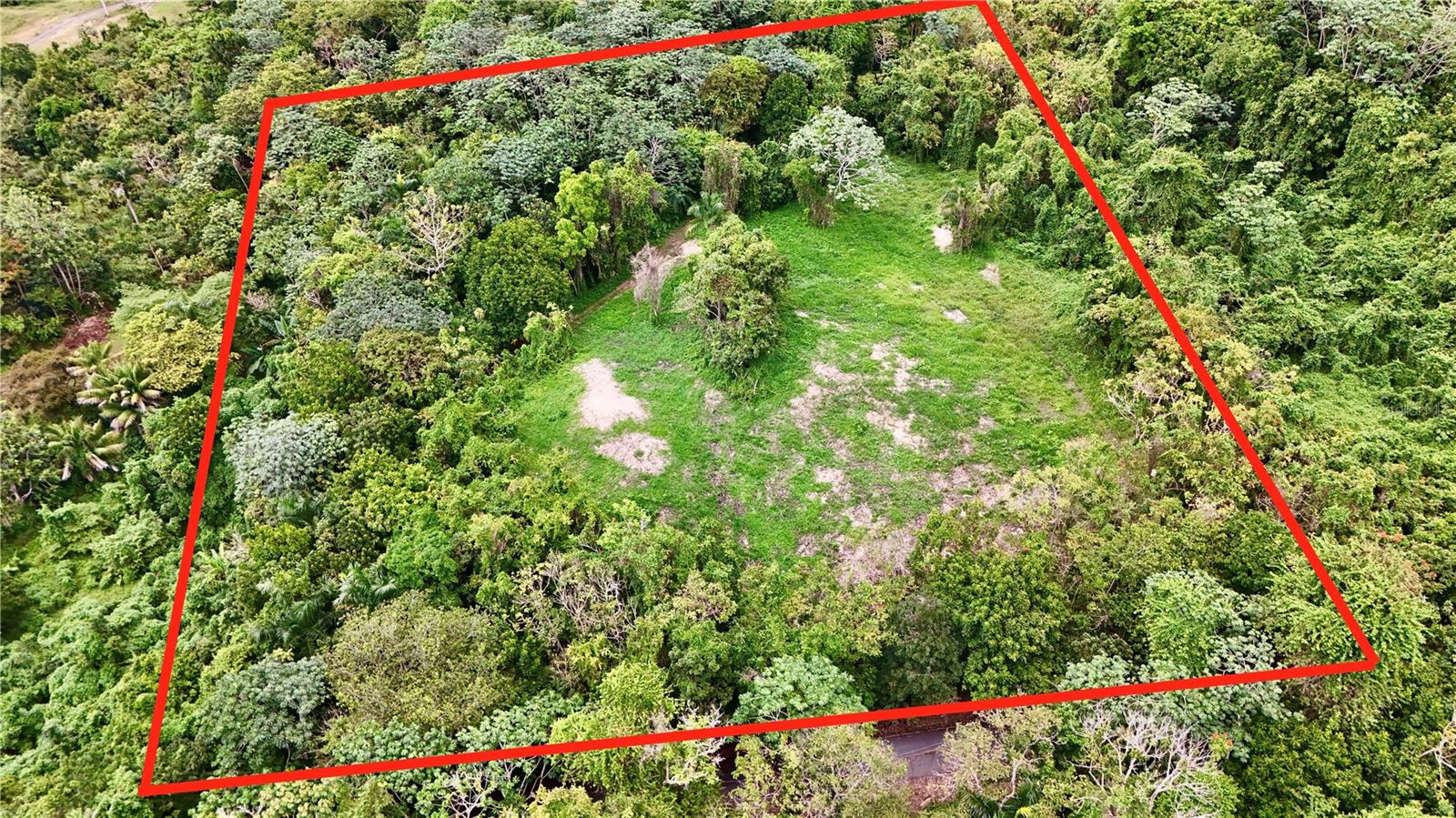Bo. Cidral Pr-450 Property Photo 6