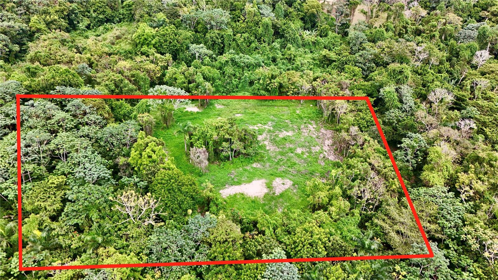 Bo. Cidral Pr-450 Property Photo 7