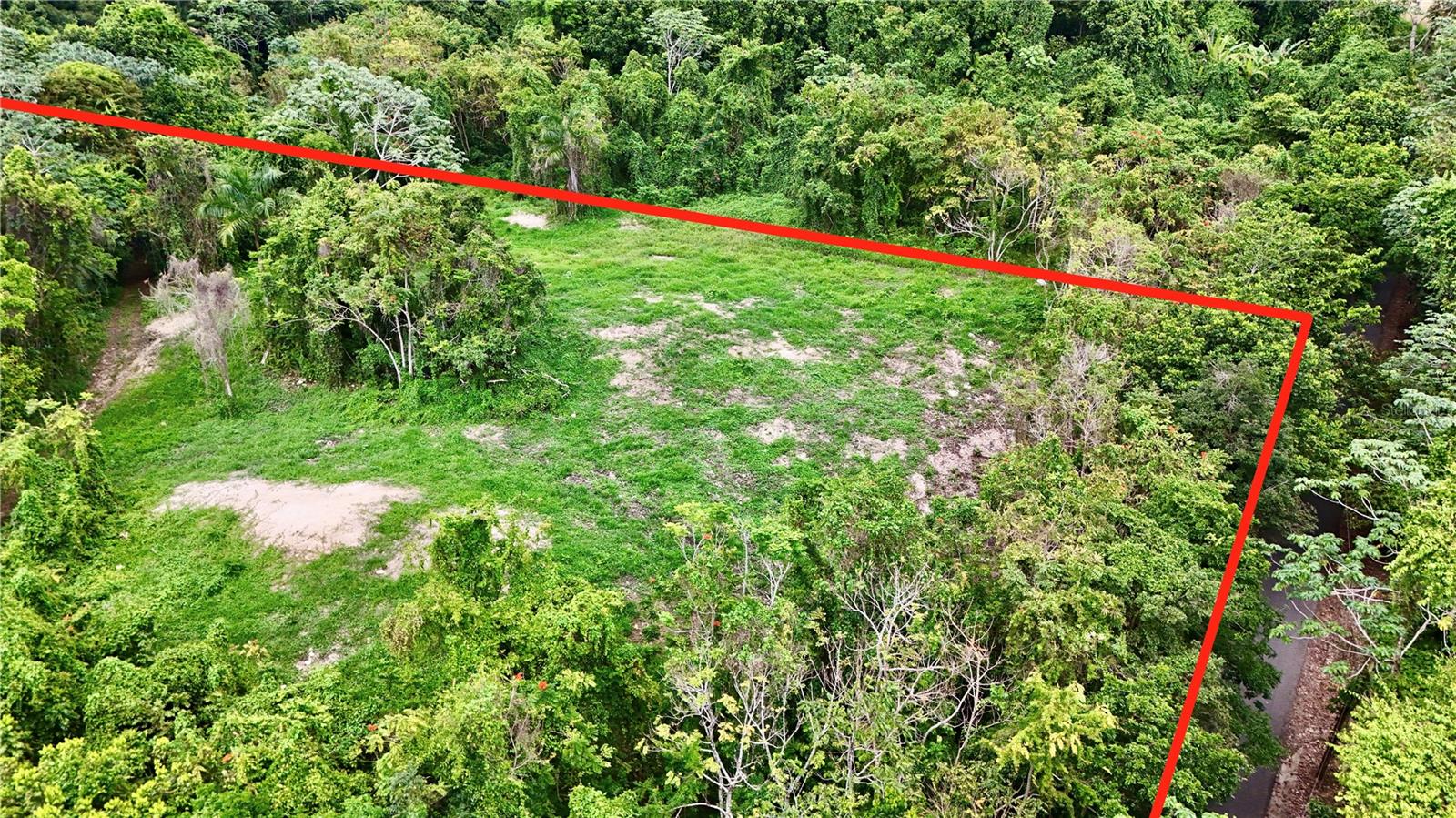 Bo. Cidral Pr-450 Property Photo 8