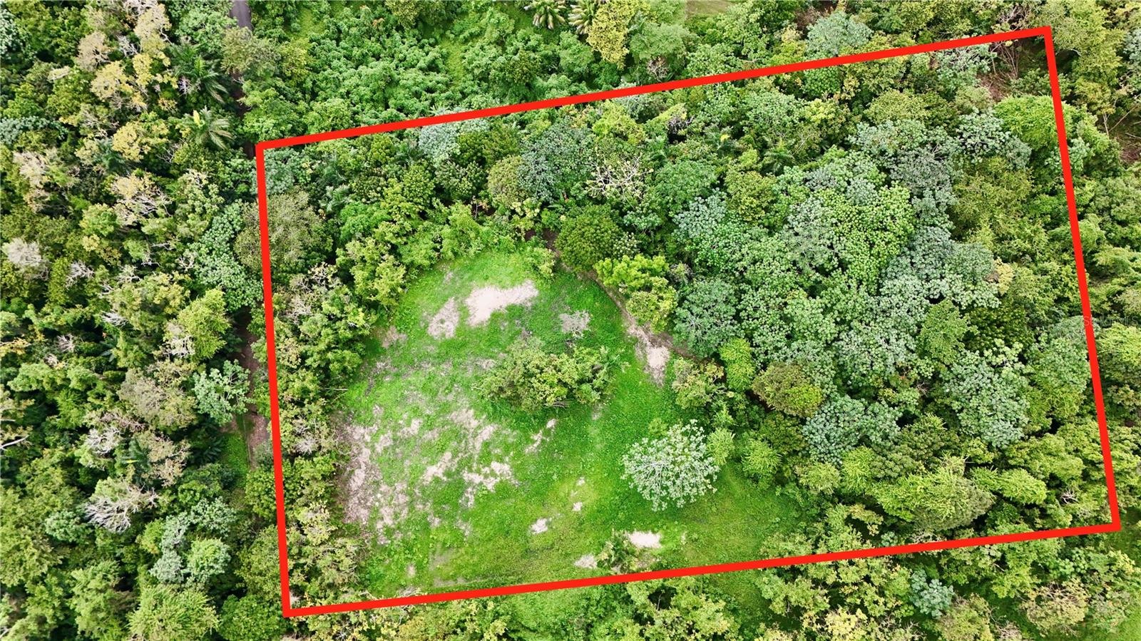 Bo. Cidral Pr-450 Property Photo 10