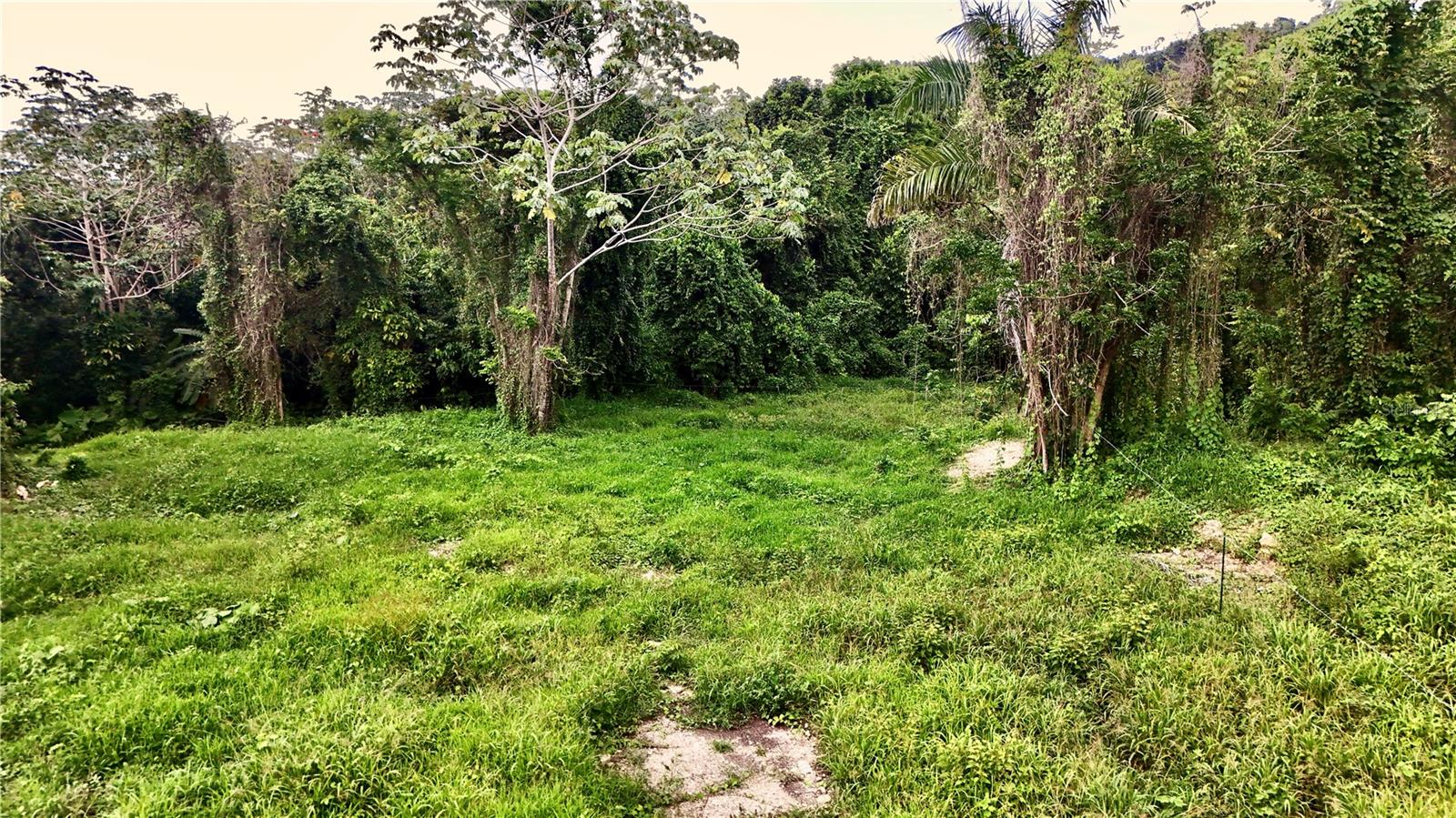 Bo. Cidral Pr-450 Property Photo 12