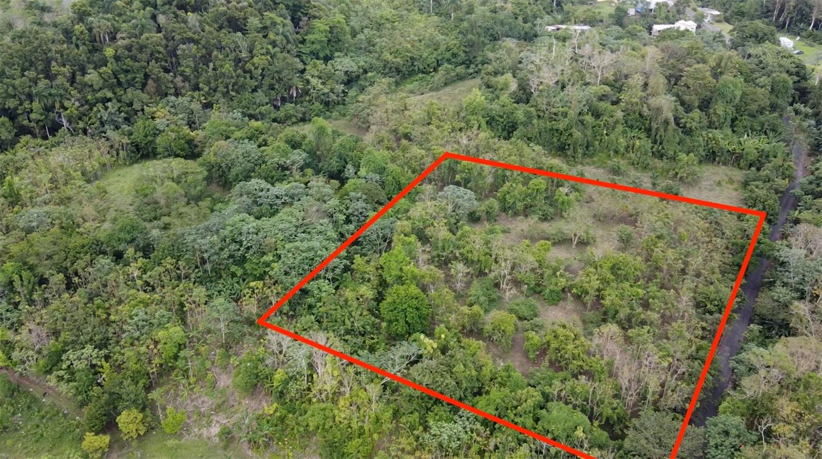 Bo. Cidral Pr-450 Property Photo 14