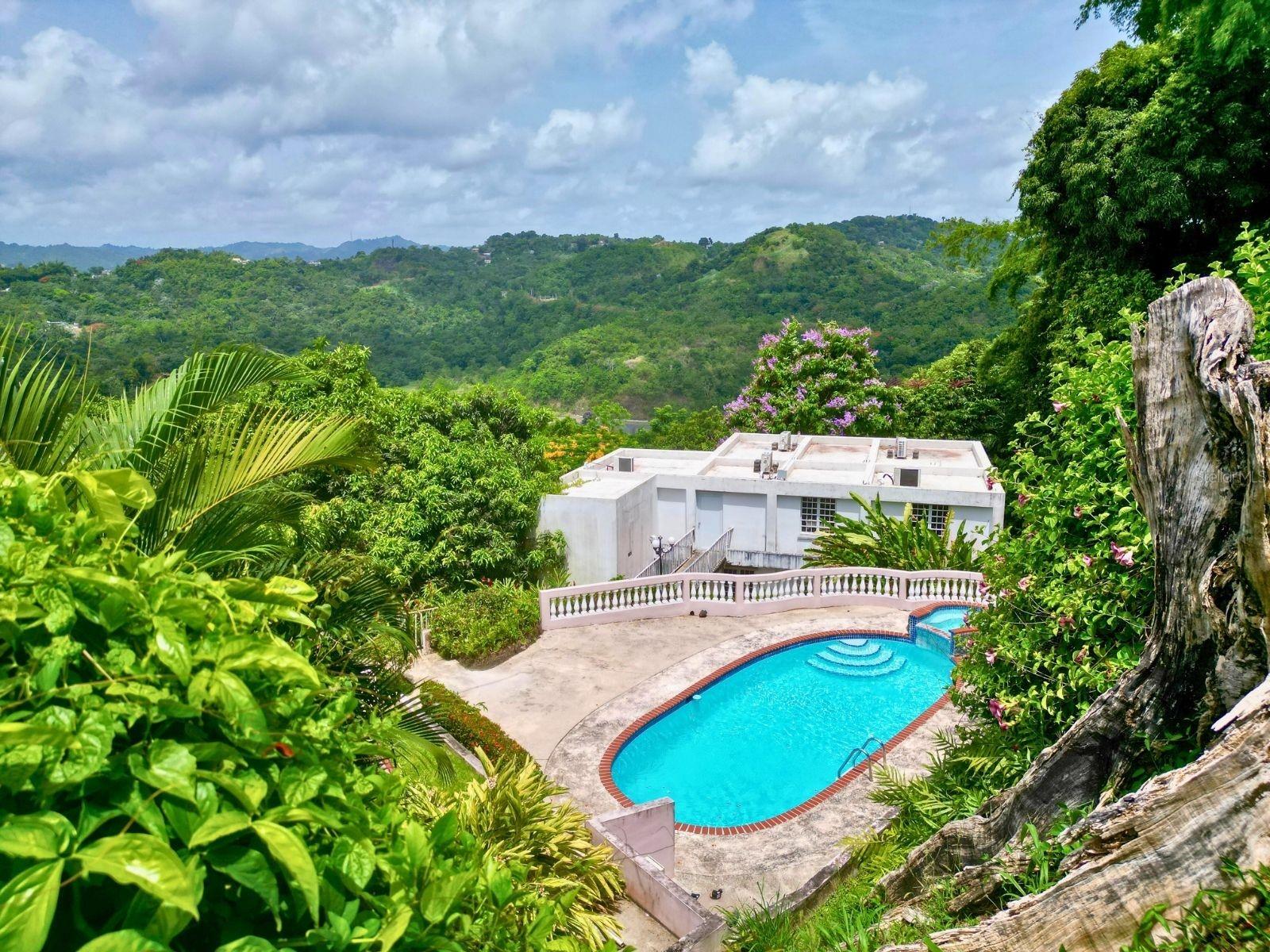 D 17 Sunset Hills Property Photo 3