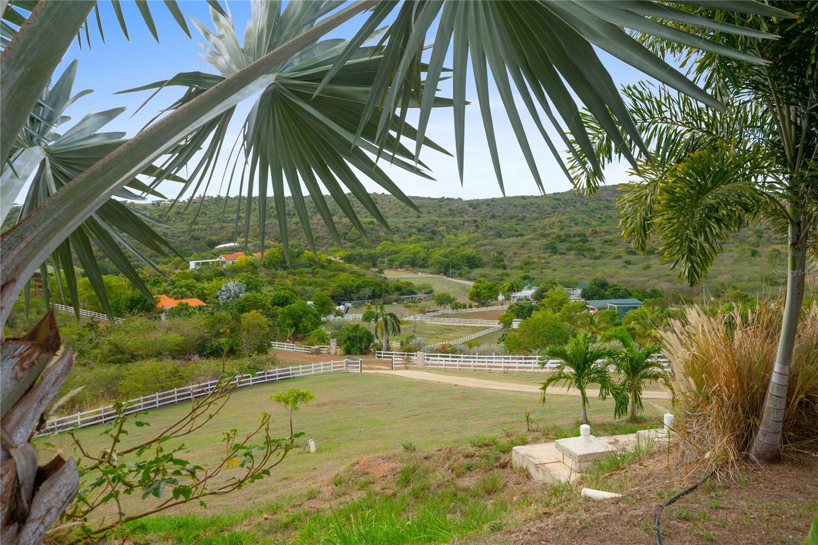 11 Barrio Frailes Property Photo 48