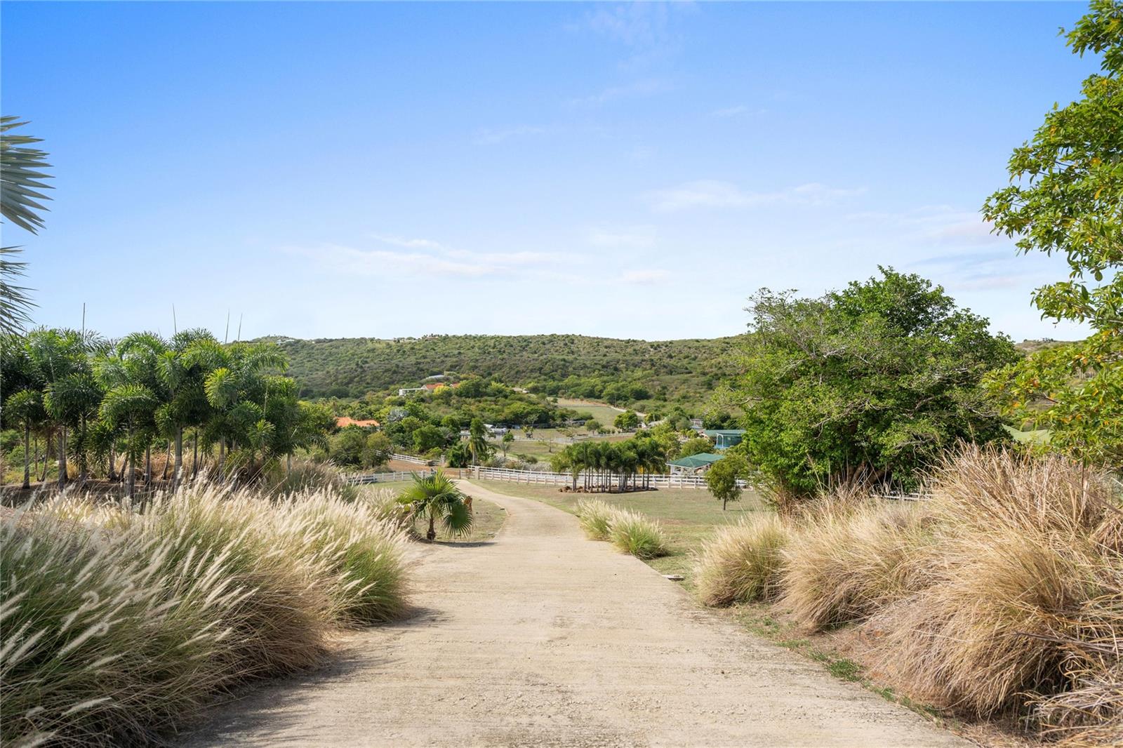 11 Barrio Frailes Property Photo 49