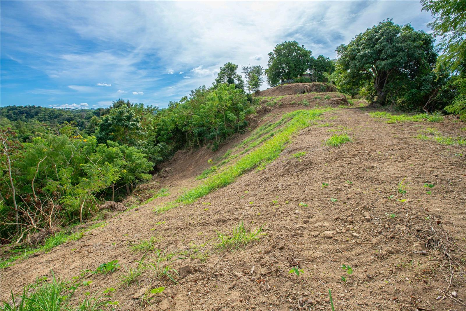 Solar B Barrio Jagüey Property Photo 21