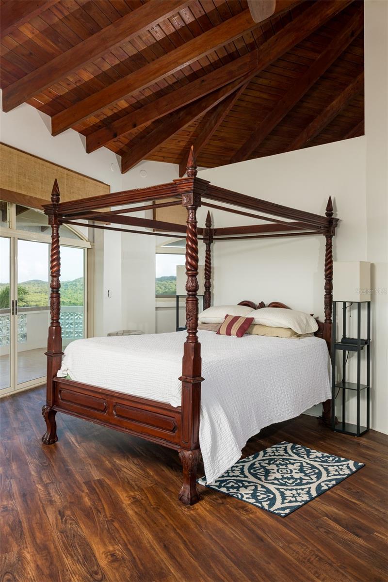 736 Brisas De Jasmin Property Photo 31