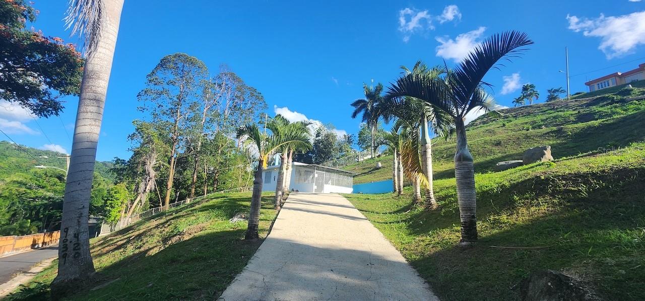 Km 12.2 Int Las Papayas Rd (sr-185) #lots A And B Property Photo 10