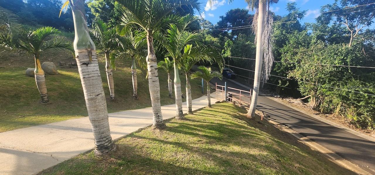 Km 12.2 Int Las Papayas Rd (sr-185) #lots A And B Property Photo 14