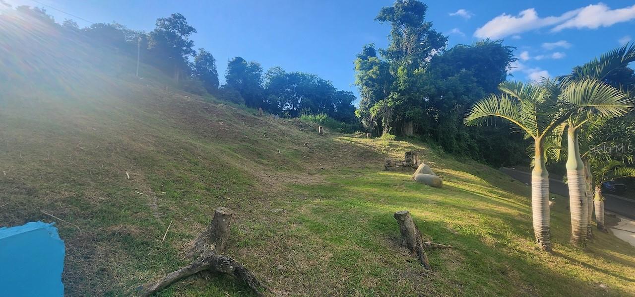Km 12.2 Int Las Papayas Rd (sr-185) #lots A And B Property Photo 15