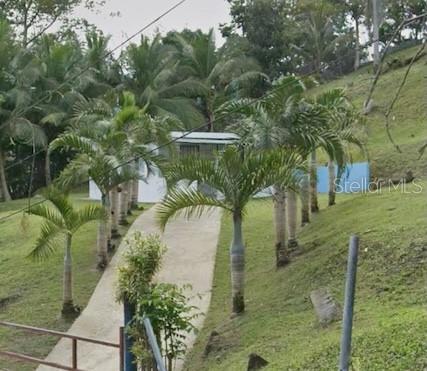 Km 12.2 Int Las Papayas Rd (sr-185) #lots A And B Property Photo 16