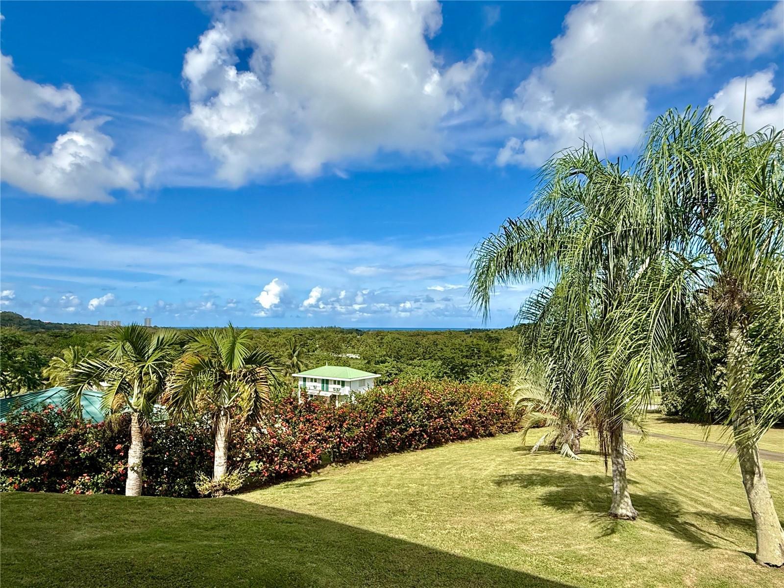 5 Batey Oeste #14 Property Photo 6