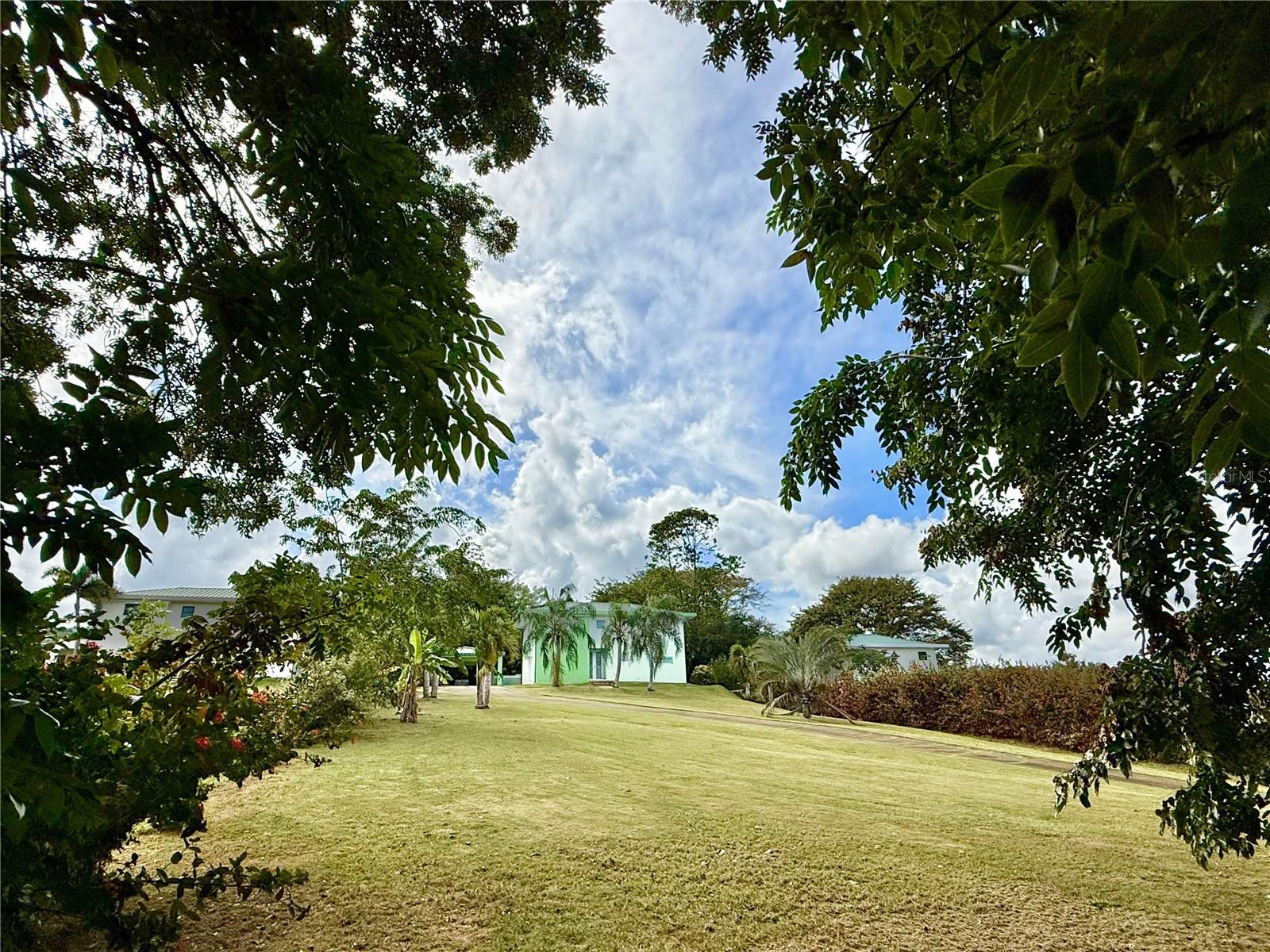 5 Batey Oeste #14 Property Photo 18