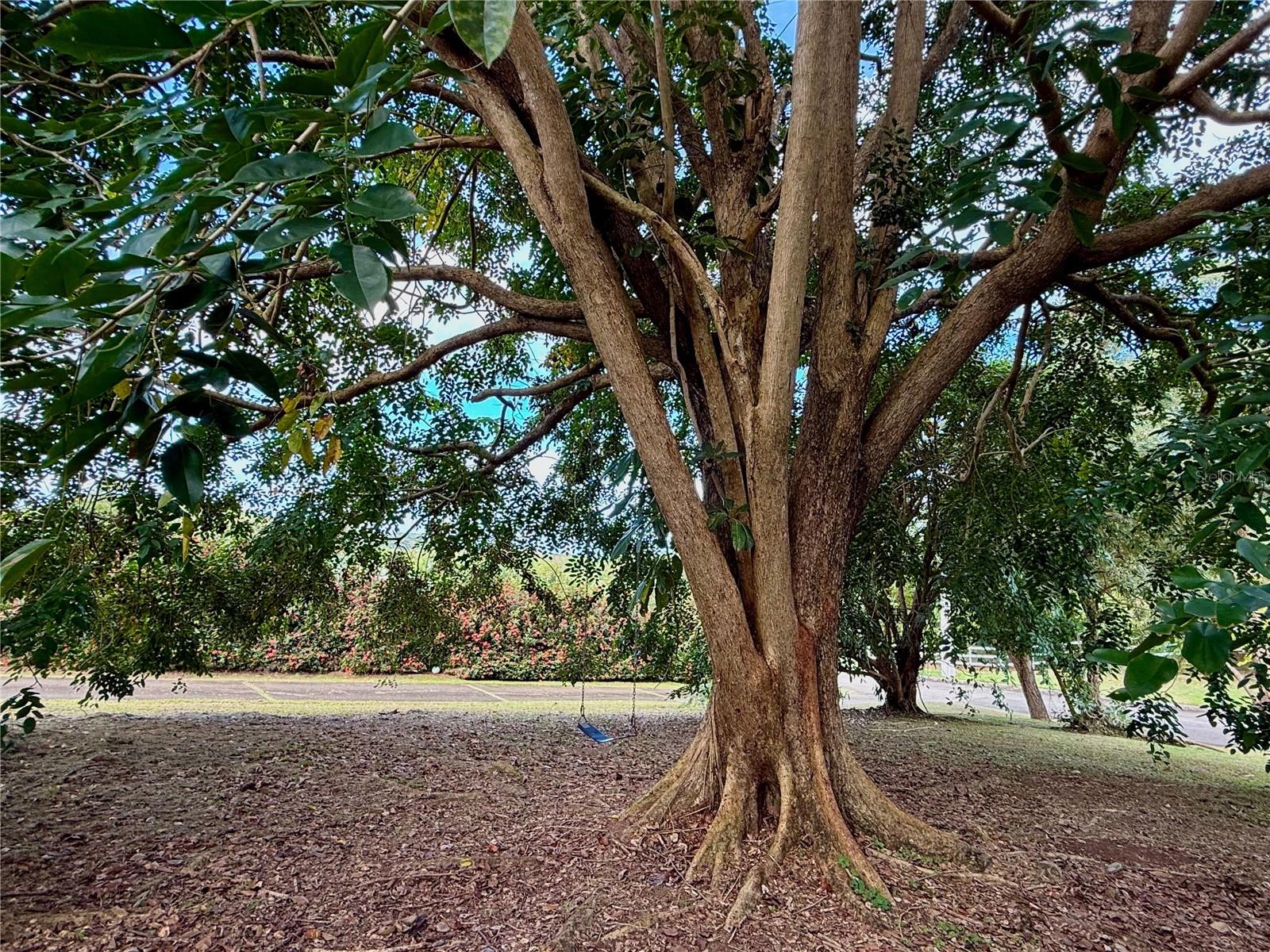 5 Batey Oeste #14 Property Photo 19