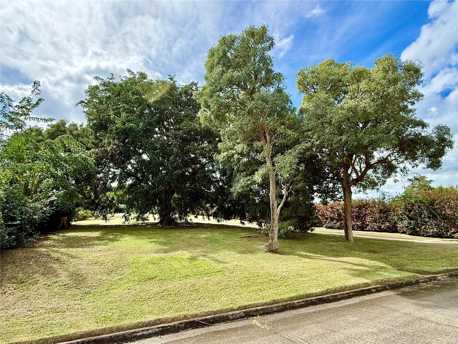 5 Batey Oeste #14 Property Photo 21