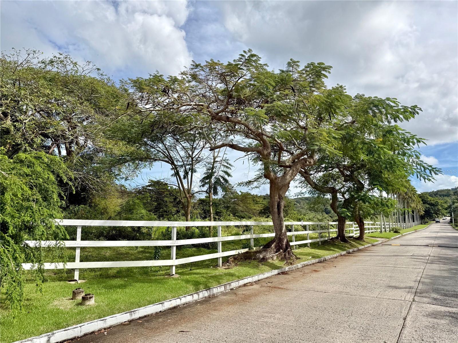 5 Batey Oeste #14 Property Photo 43