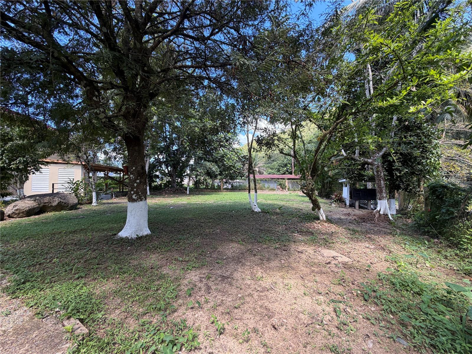 Km 4.9 Pr 175 #lot 1 Property Photo 25