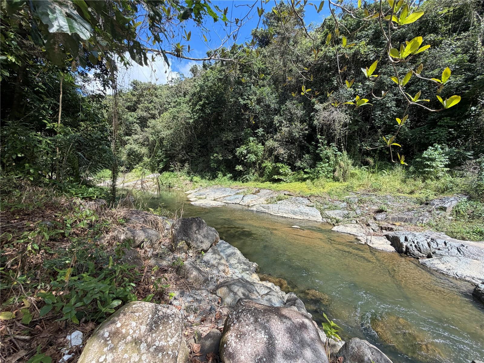 Km 4.9 Pr 175 #lot 1 Property Photo 31