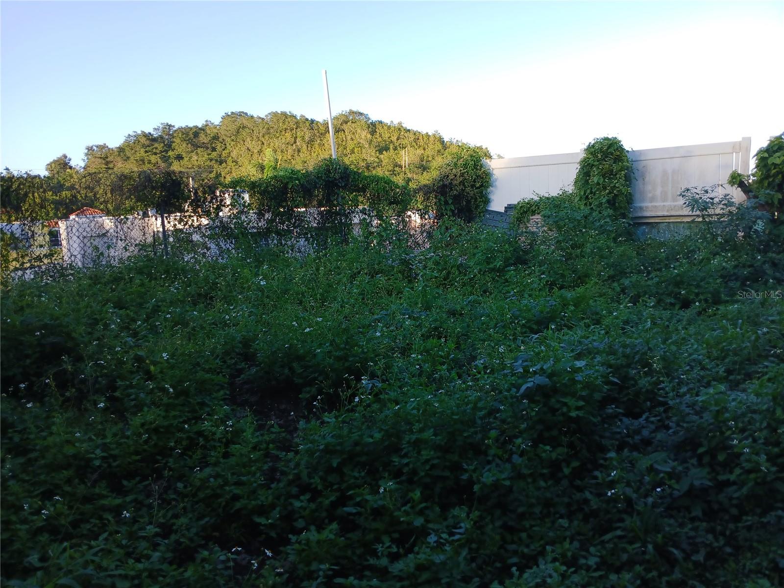 Calle Rio Pitahaya River Edge Hills #120 Property Photo 23